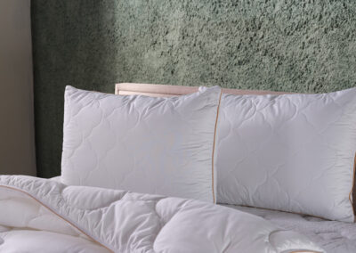 Soft Brushed Microfiber Zippered Pillow Protector